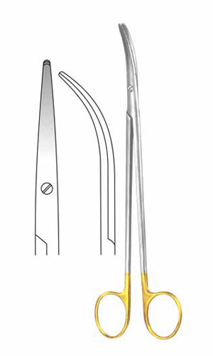 Dissecting Scissors